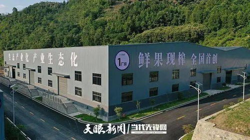贵州册亨 生态油茶科技产业园预计8月底投产