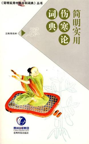 简明实用伤寒论词典 陈佑林 著 贵州科技出版社 /正版